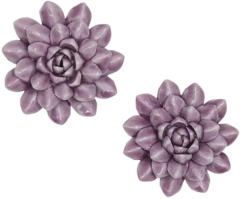 Decorationflowers Blossoms 