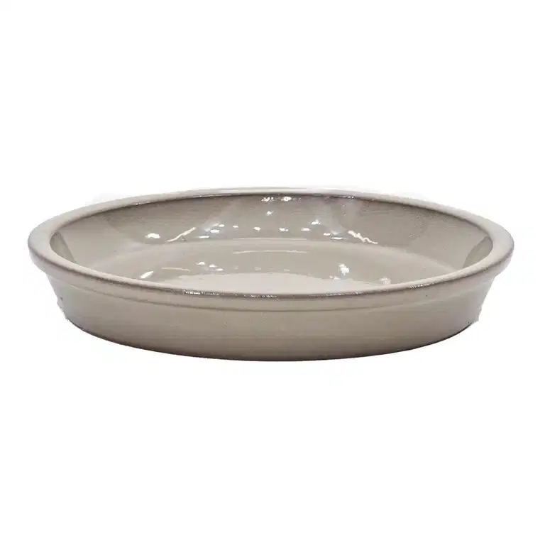 Saucer Nordica 