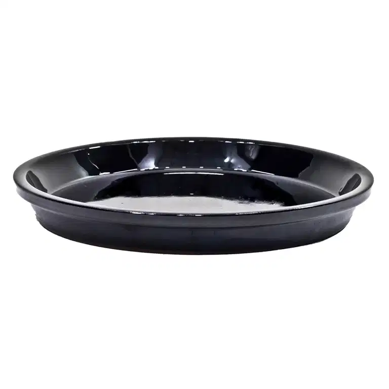 Saucer Nova