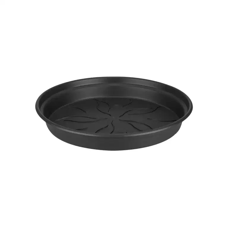 Green basics saucer D17 black