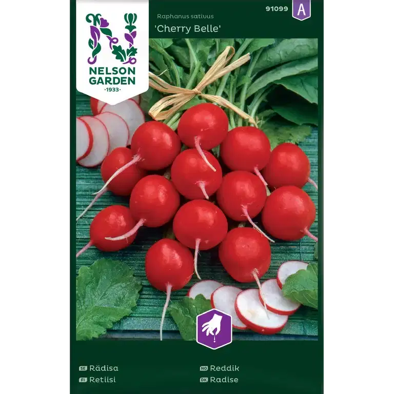 Rädisa, Cherry Belle, rund