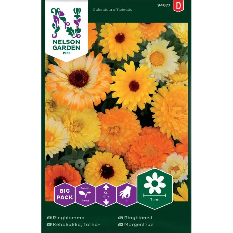 Ringblomma, bl färger, Big Pac