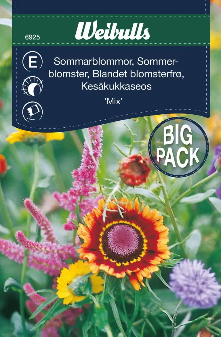 Sommarblommor, mix storportion