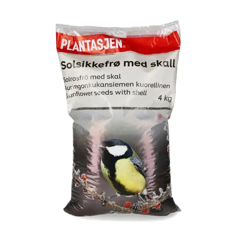 Fågelmat oskalade solrosfrön