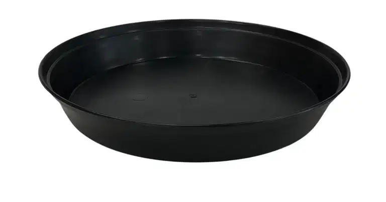 Saucer Milano 