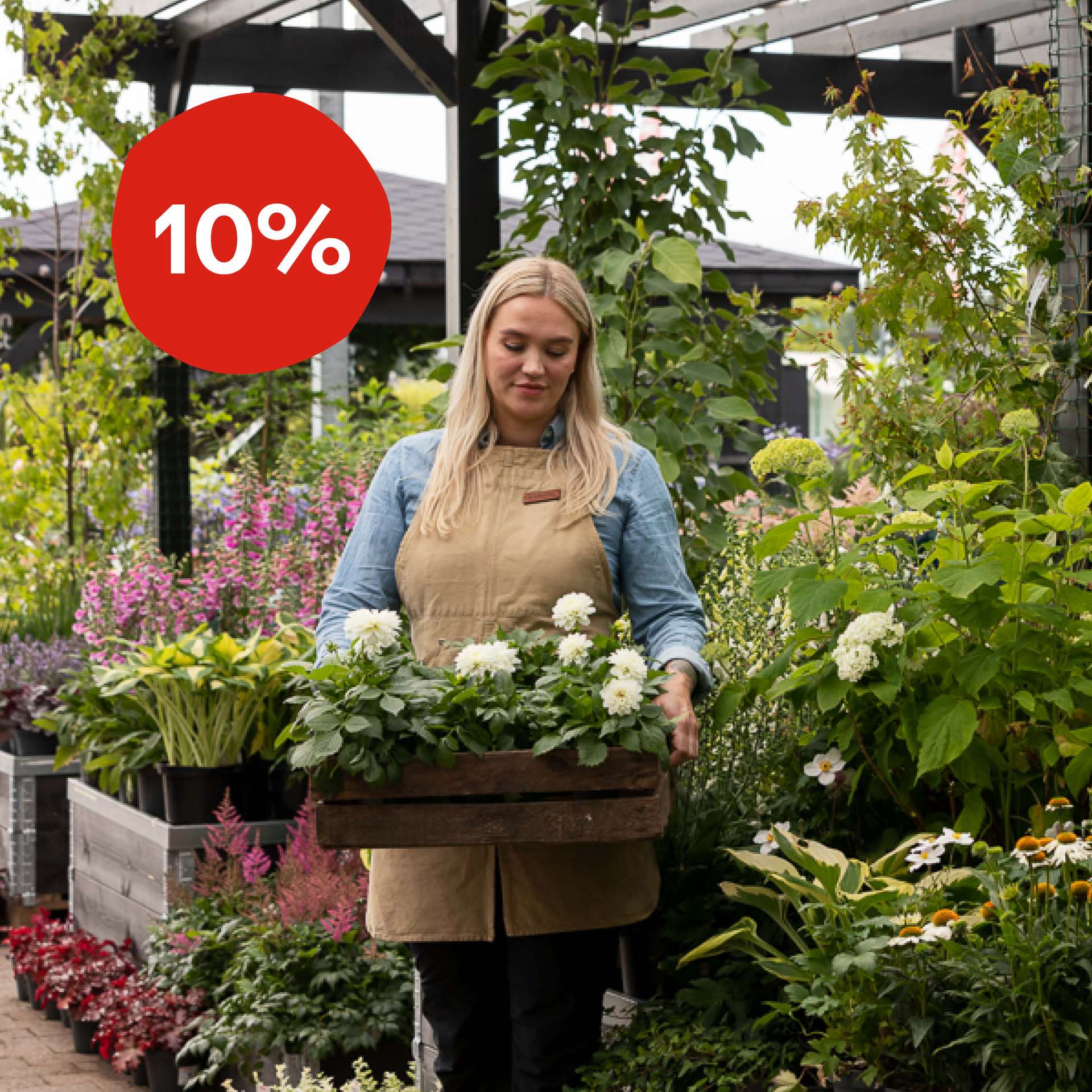 Bli företagskund hos oss!