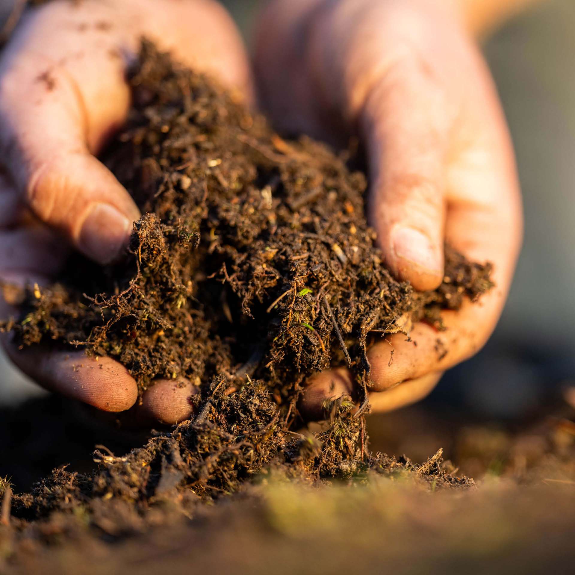 Jord, gödsel och bark