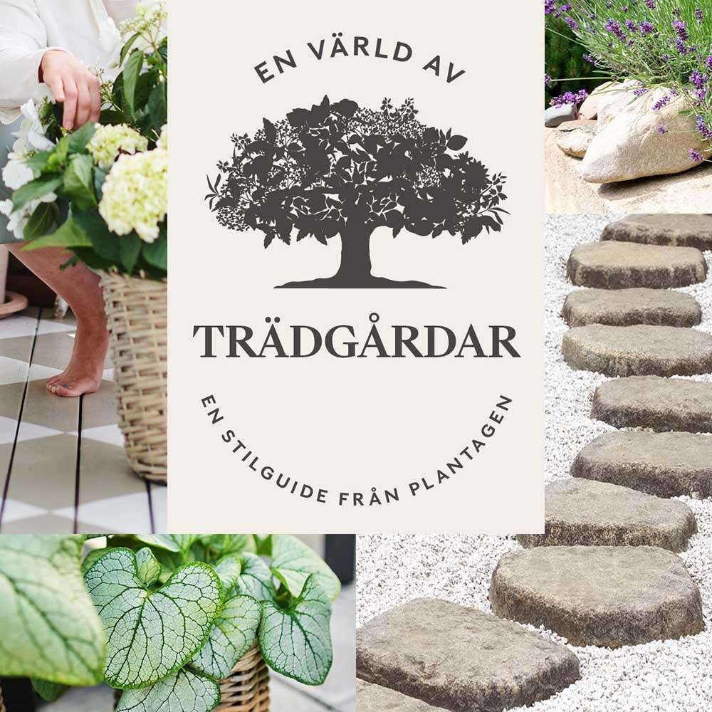 En värld av trädgårdar – en stilguide från Plantagen