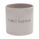 Pot I Will Survive
