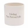 Kruka Living The Potted Life 
