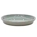 Saucer Nordica