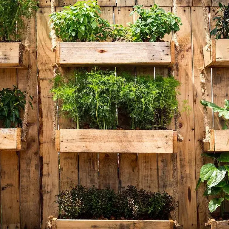 Vertikal odling – odla på höjden och spara utrymme 