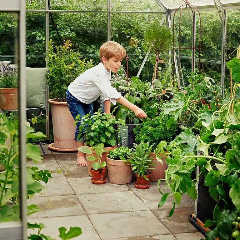 Children's own gardening