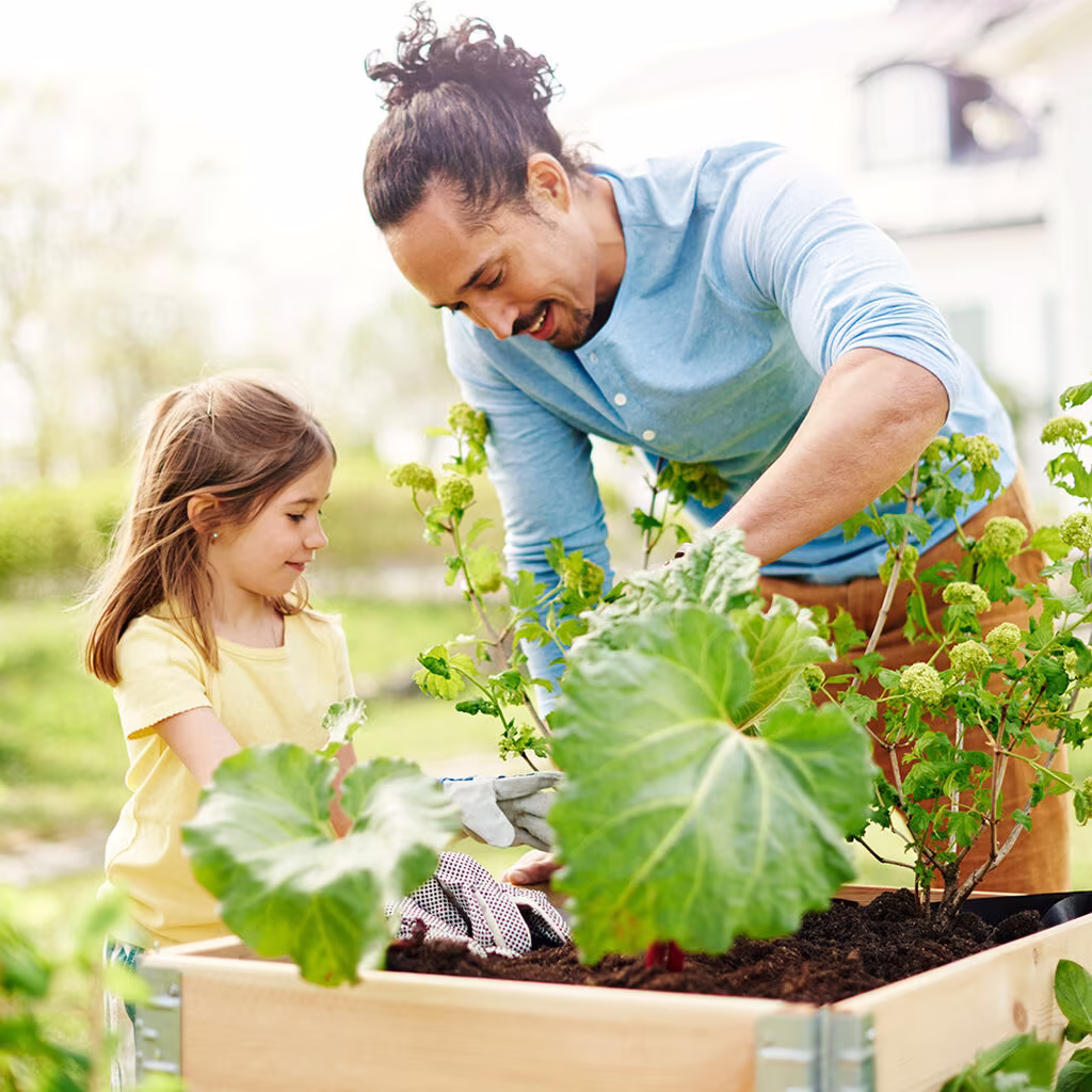 Hur många plantor får plats i en pallkrage? 