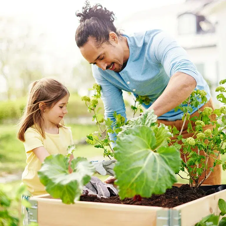 Hur många plantor får plats i en pallkrage? 