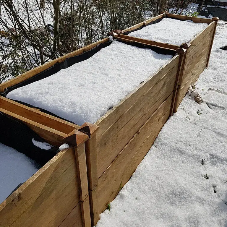 Vinterså på friland och i pallkragar 