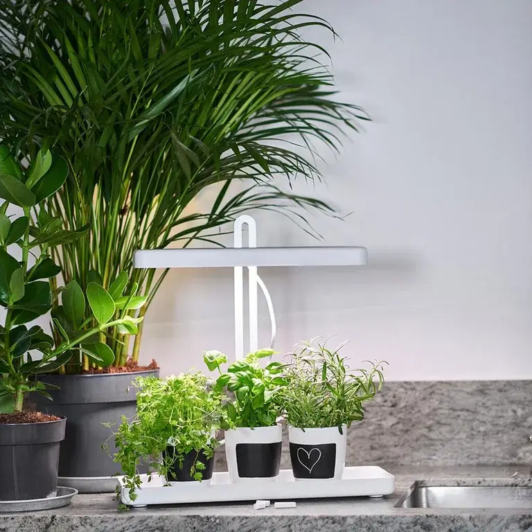 Plant lighting - facts and tips about grow lights and plant lights