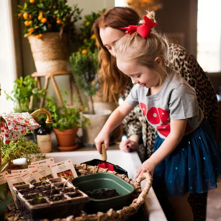 December - detta kan du så och odla