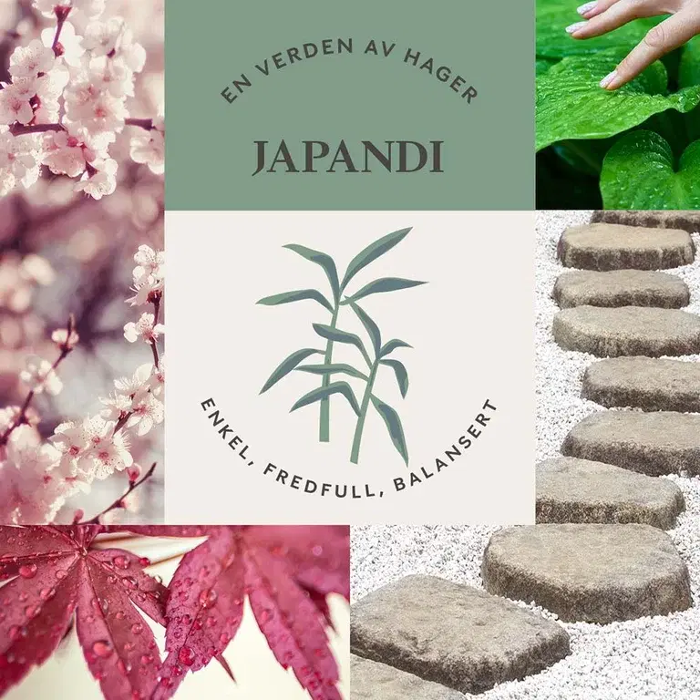 JAPANDI-TRÄDGÅRD  – enkel, fridfull och balanserad
