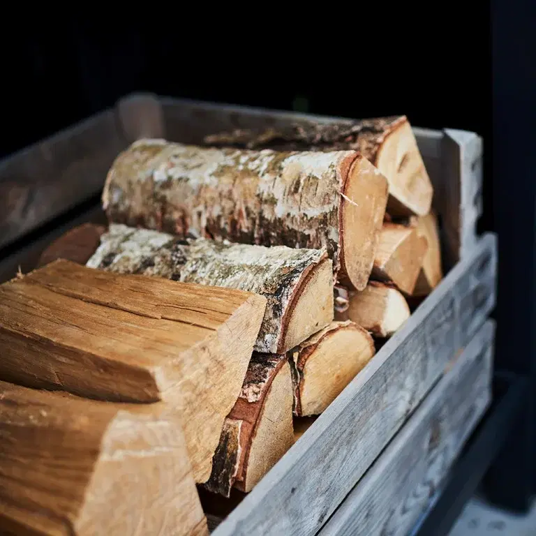 Buy firewood - how to choose the right firewood for winter