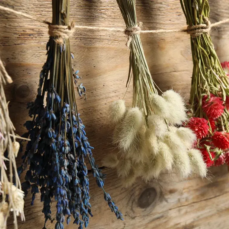 Dry flowers – create beautiful bouquets and wreaths that last