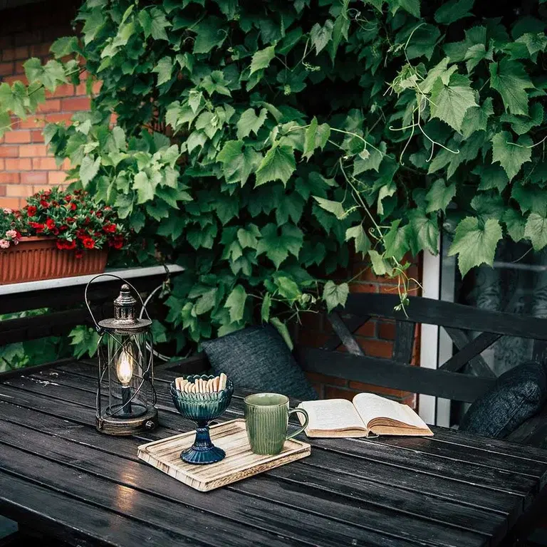 Klätterväxter och klängväxter på balkong 