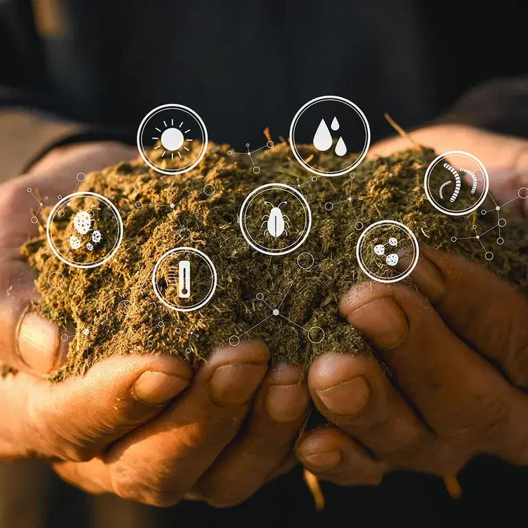 Mikroliv – trädgårdens minsta hjälpreda