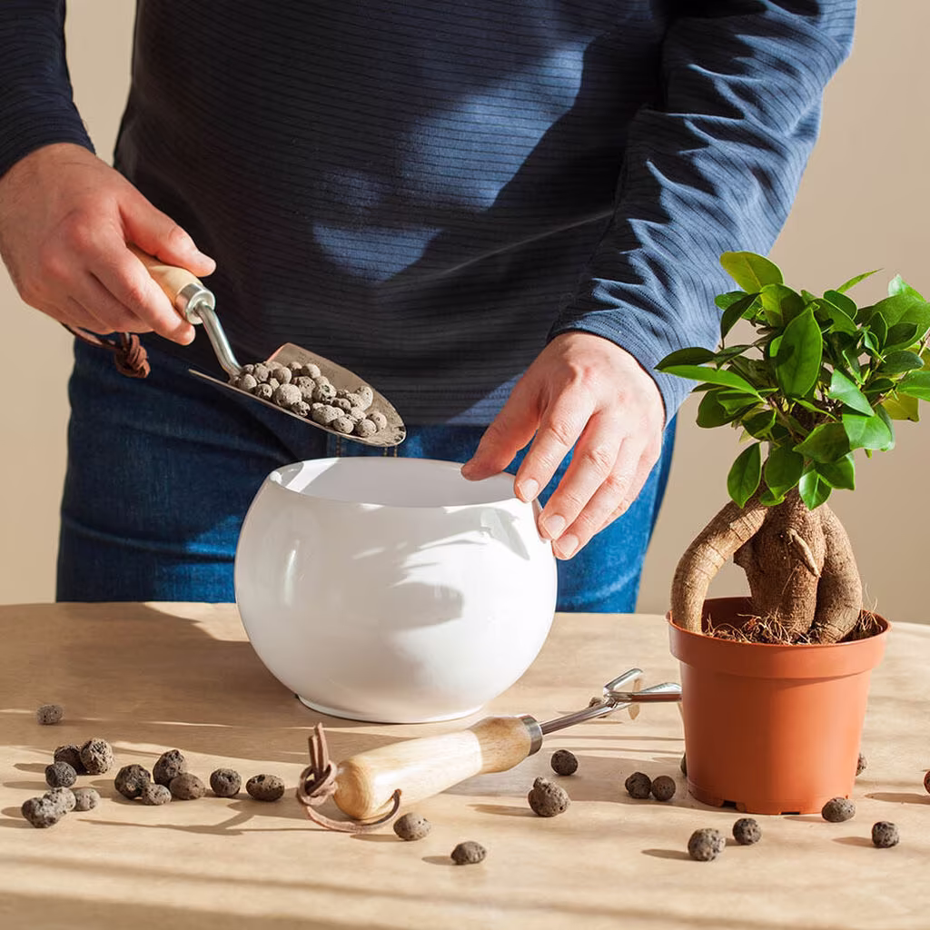 Drainage and airy soil - with clay pebbles