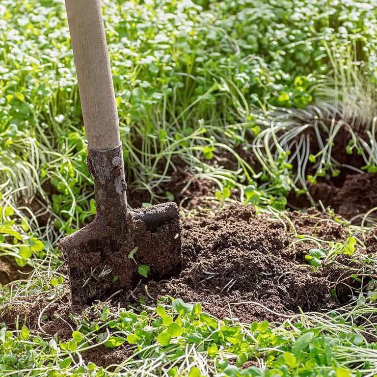 Improve hard clay and nutrient-poor soil
