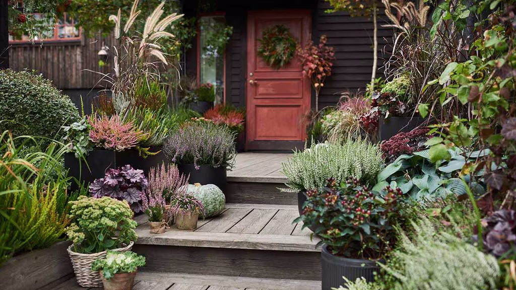 Make the balcony, terrace, and entrance area fall-ready.