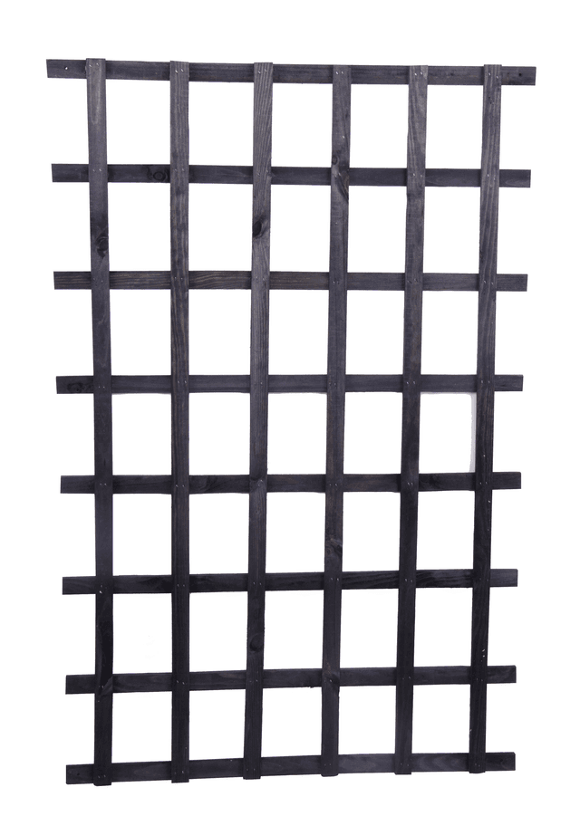 Spaljé och uppbindning