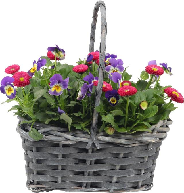 Blomstergrupper