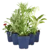 In depositable pots