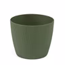 Kruka Lisse