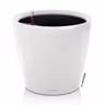 Selfwatering Pot Classico