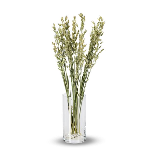 Torkade blommor