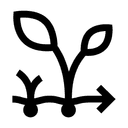 Planteringstid  60 dagar