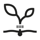 Harvest time  Jan - Des month