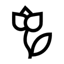 Blomningstid Jun, Jul, Aug