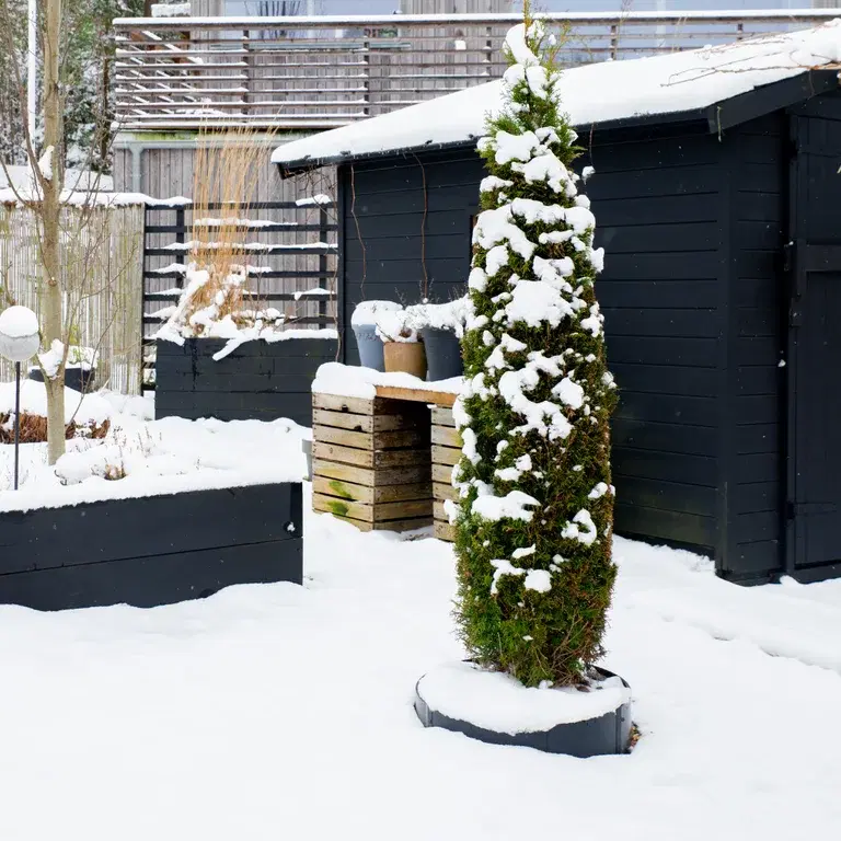 Trädgårdsbesök: Strama linjer mot mjuk snö hos Sylvia