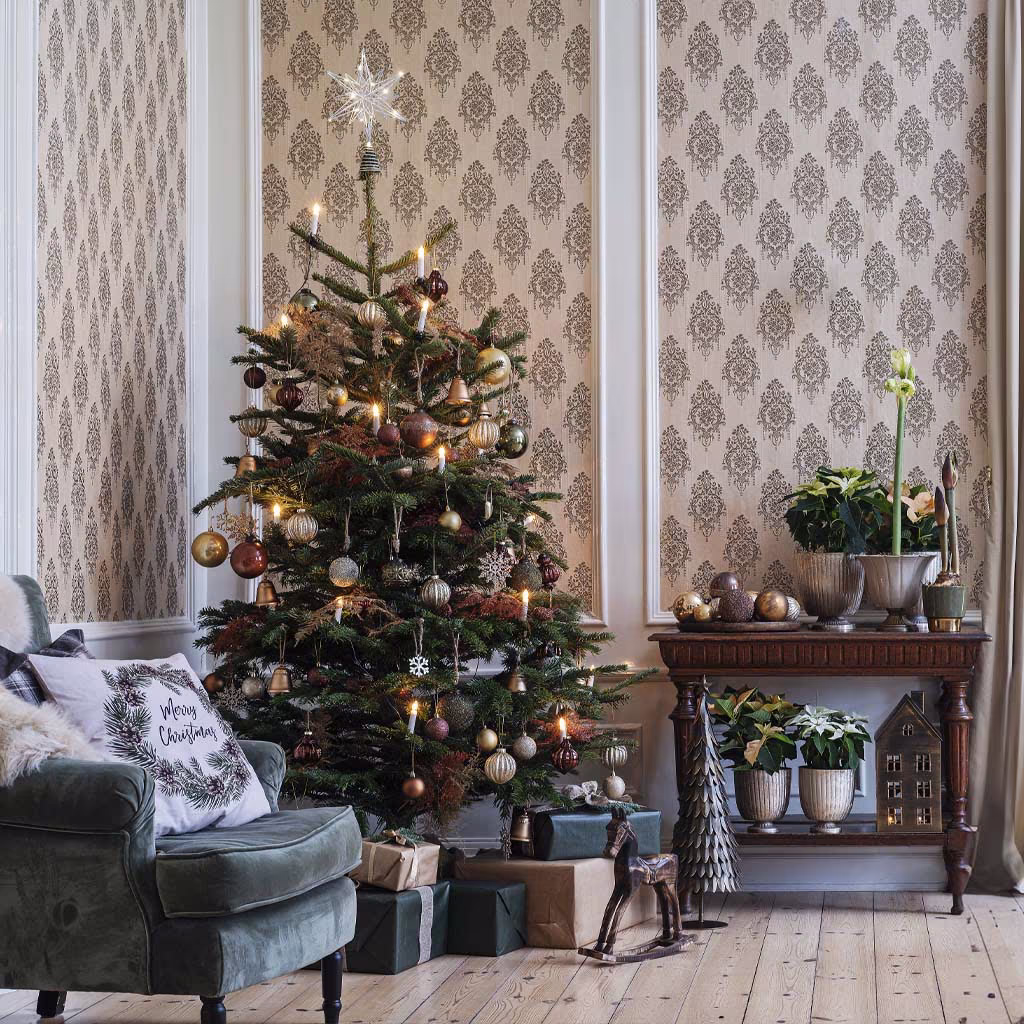 Så lyckas du med julgranen – tips och skötselråd 