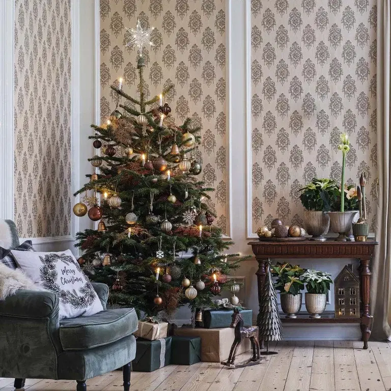 How to Care for Your Christmas Tree – Tips and Advice