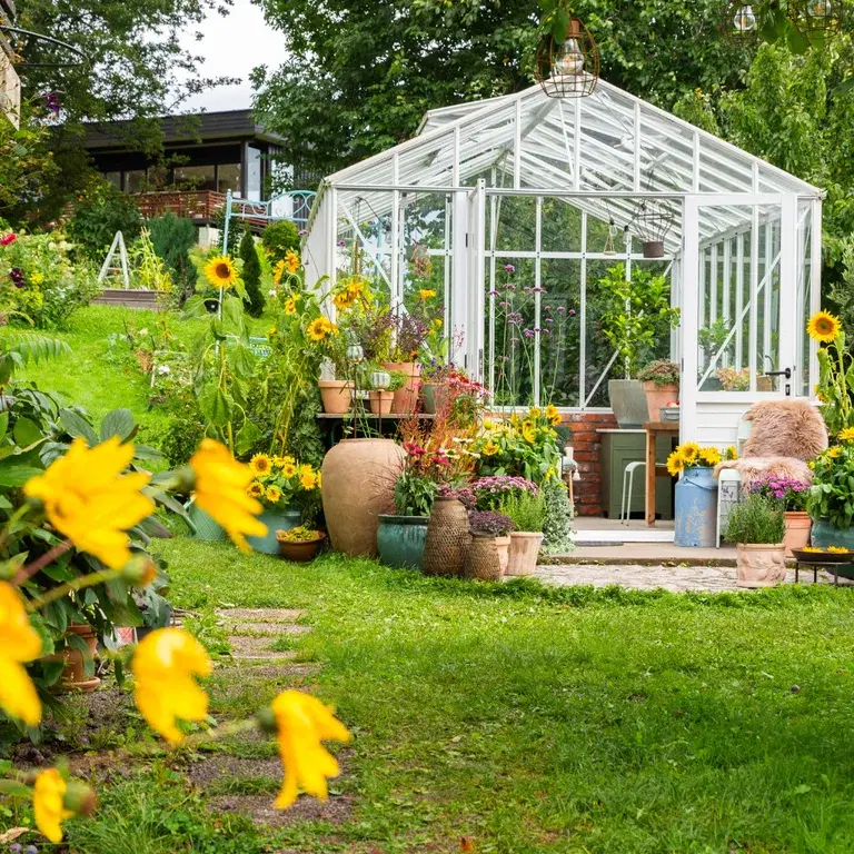 Trädgårdsbesök: Krukmani i Annikens sensommarträdgård