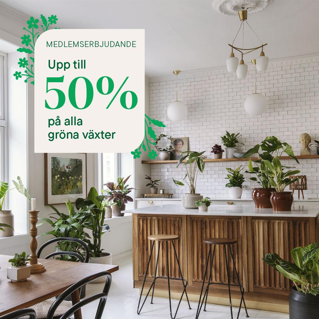 30% off all Mediterranean plants