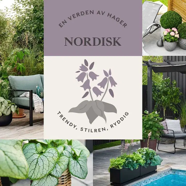 NORDISK TRÄDGÅRD  – trendig, stilren och prydlig