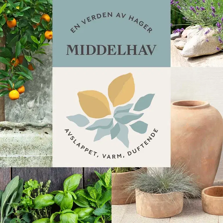 MEDITERRANEAN GARDEN - relaxed, warm and fragrant