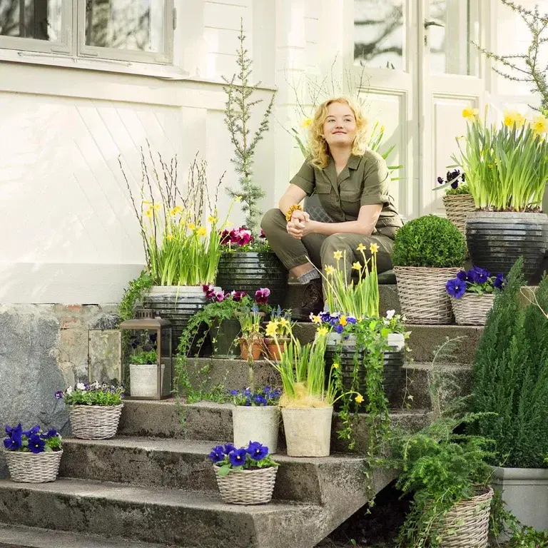 Vårblommor i kruka – dekorera entrén inför våren