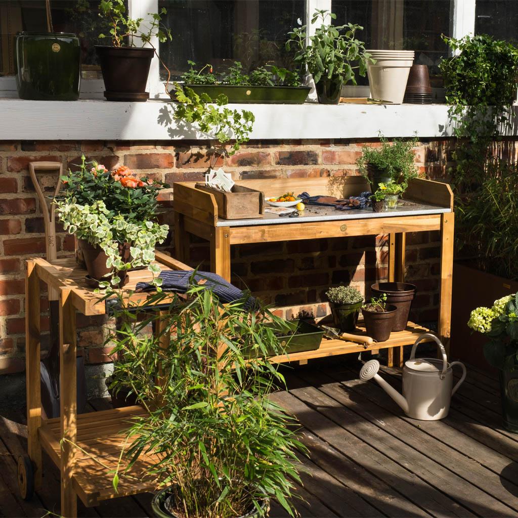 This is an image illustration of  King & Caroline