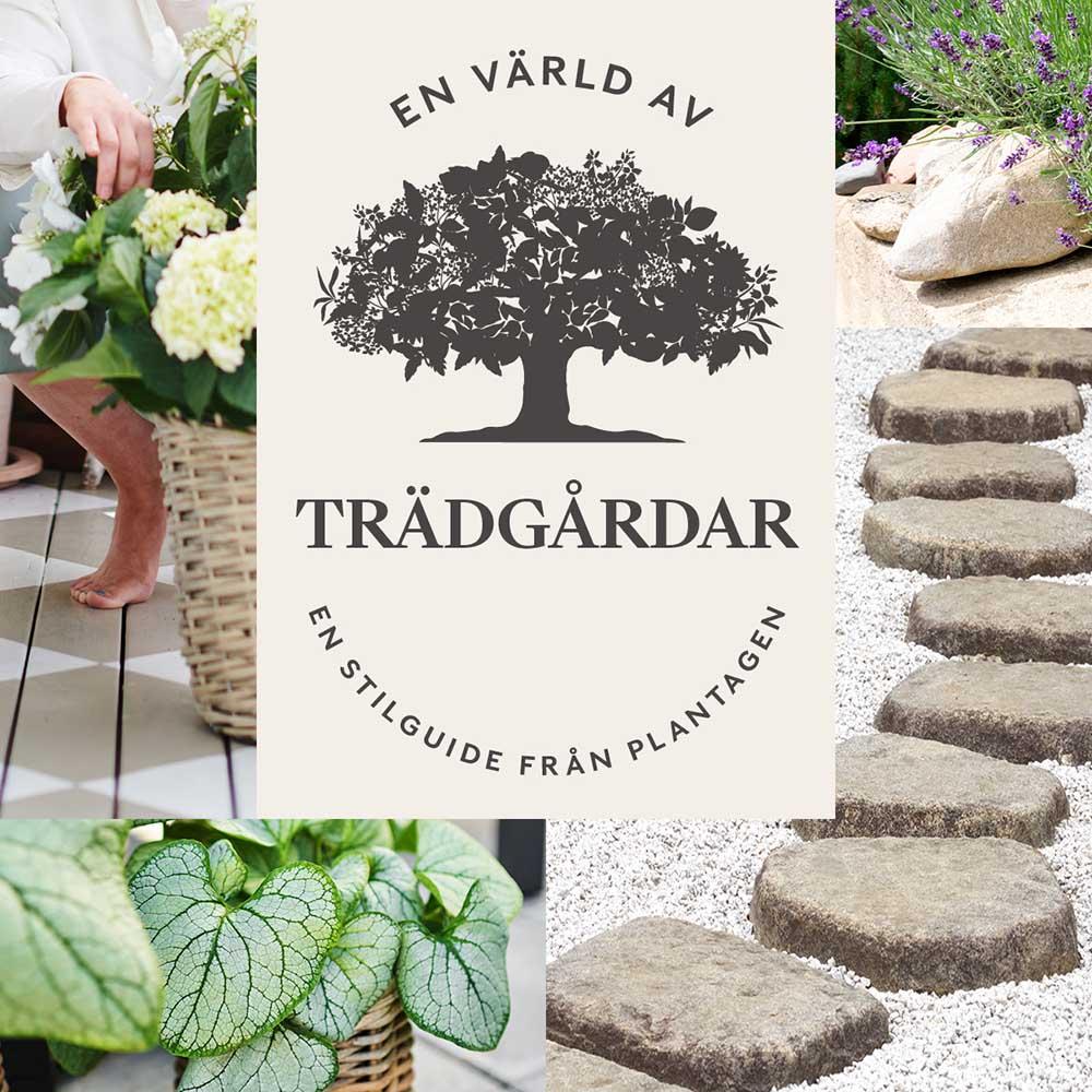 Detta är en bildillustration av  En värld av trädgårdar – en stilguide från Plantagen