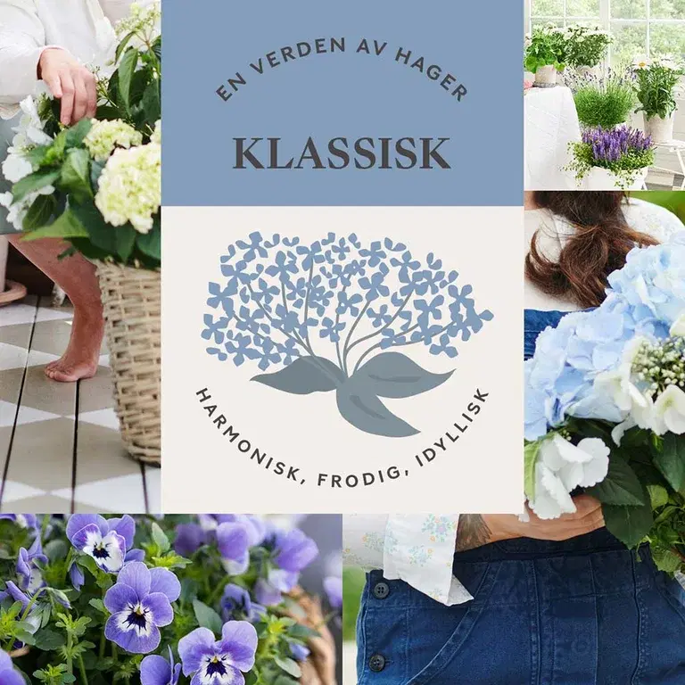 KLASSISK TRÄDGÅRD - harmonisk, frodig och idyllisk